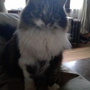 Meet your Posher, Suzanne